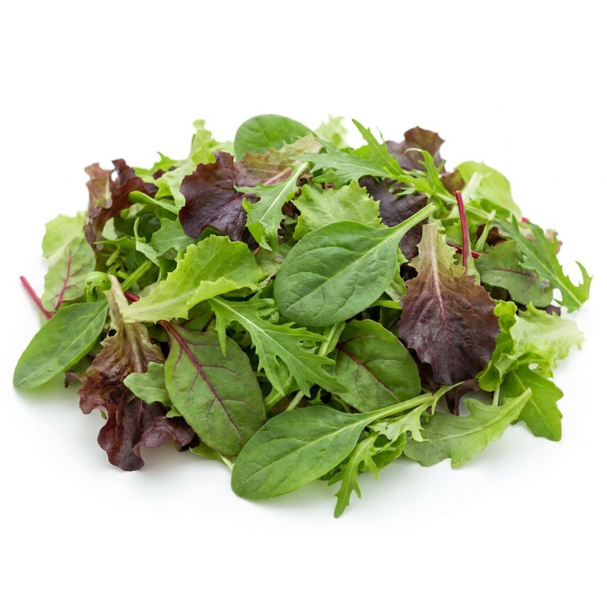Mesclun Mix Baby Leaf - image 1