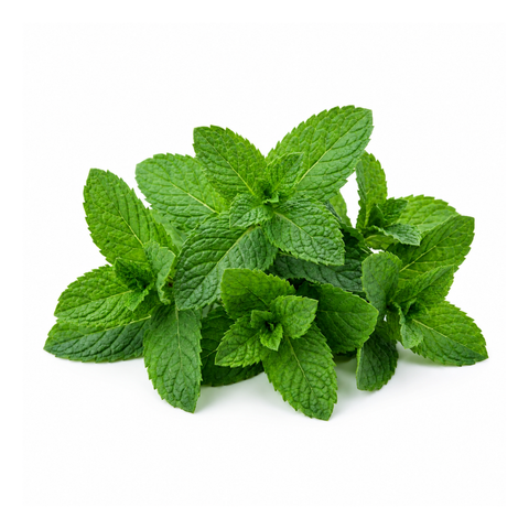 Mint