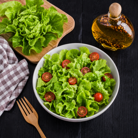Oakleaf Green Lettuce