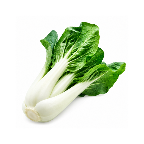 Pak Choy Lettuce