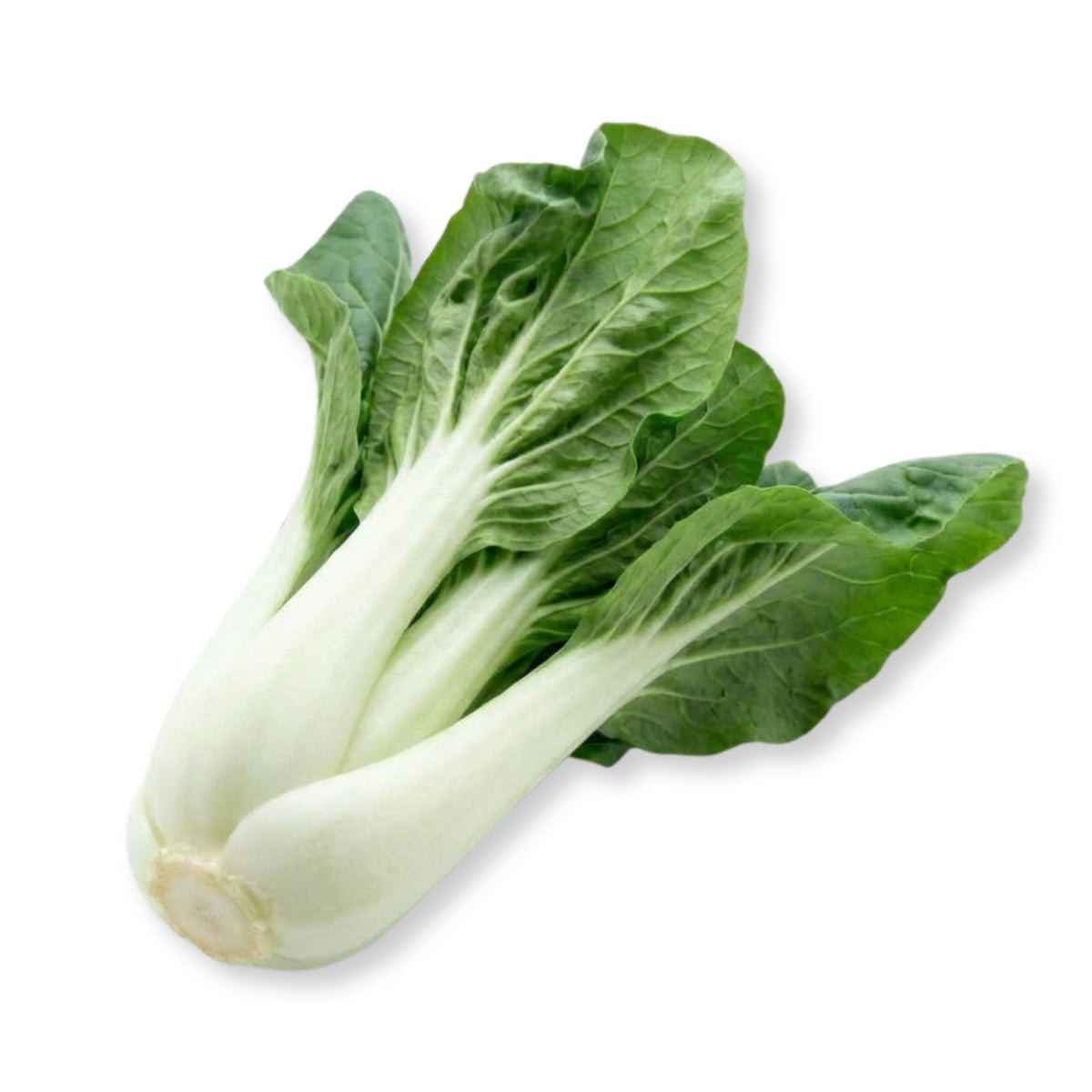 Pak Choy Lettuce - image 1