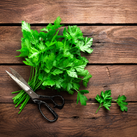 Parsley