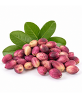 A pile of pinkish-red unroasted cashew nuts with green leaves on a clean white background.