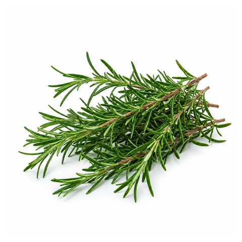 Rosemary
