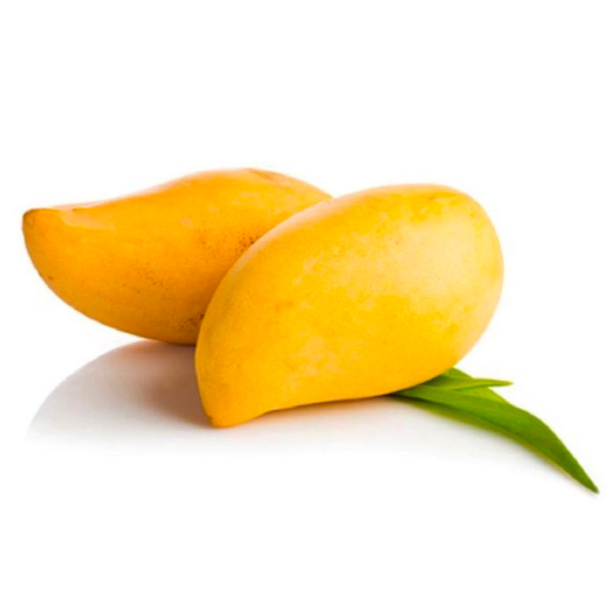 Sindhri Mango - image 1