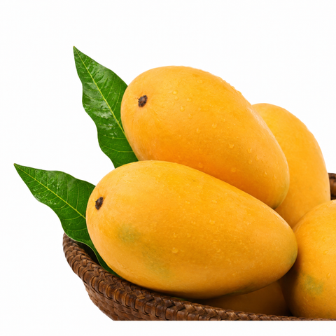 Sindhri Mango