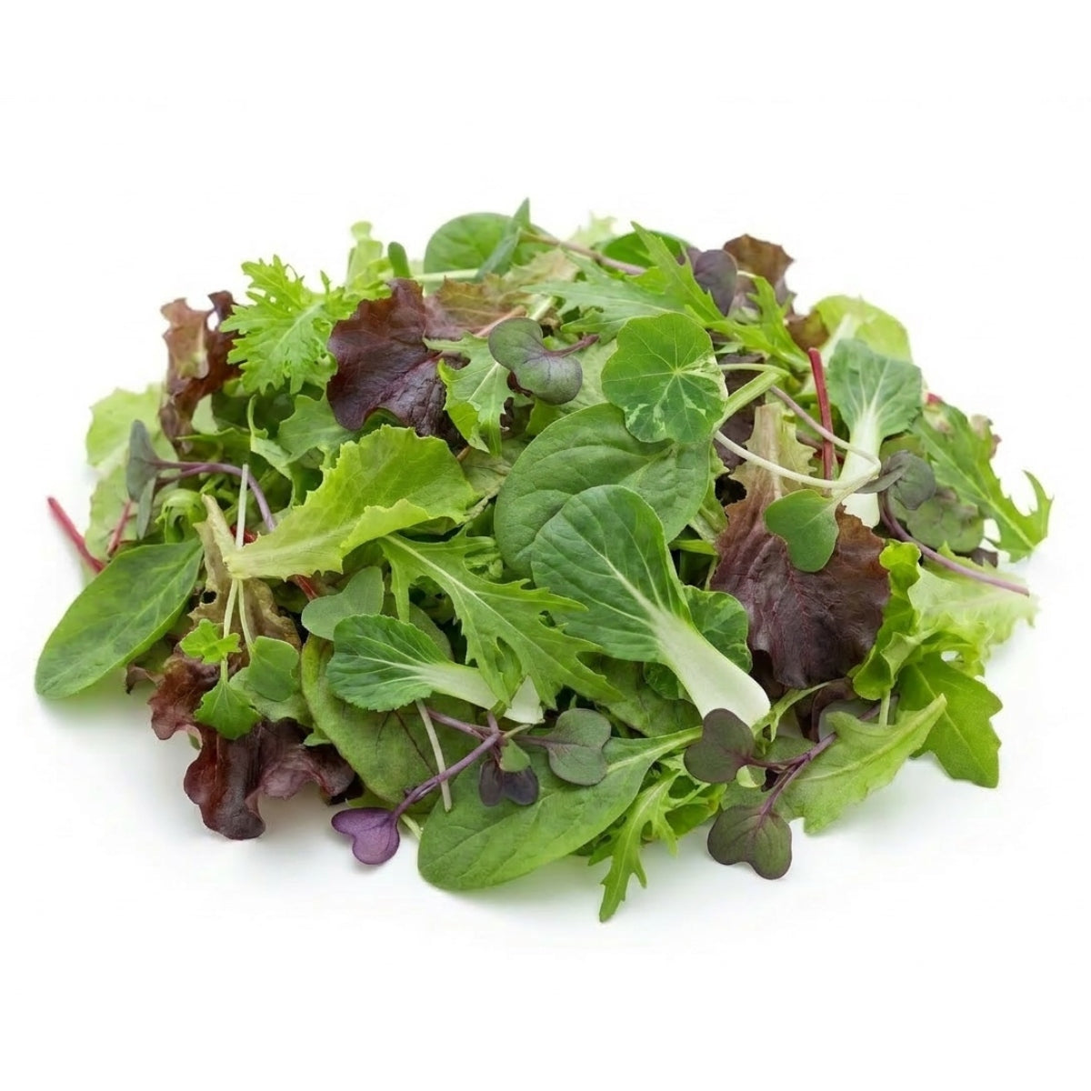 Spicy Mix Baby leaf - image 1