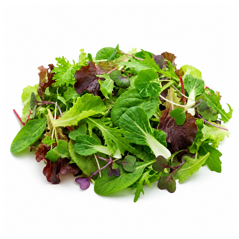 Spicy Mix Baby leaf