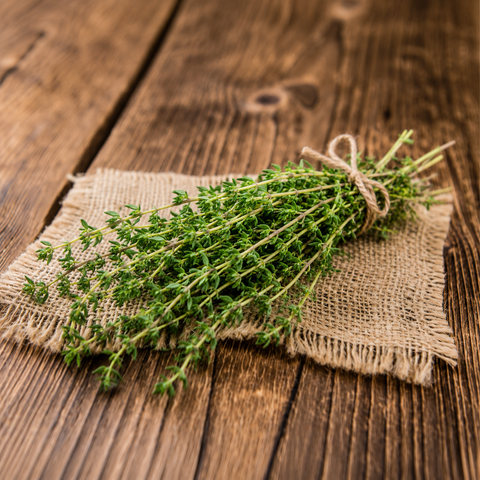 Thyme