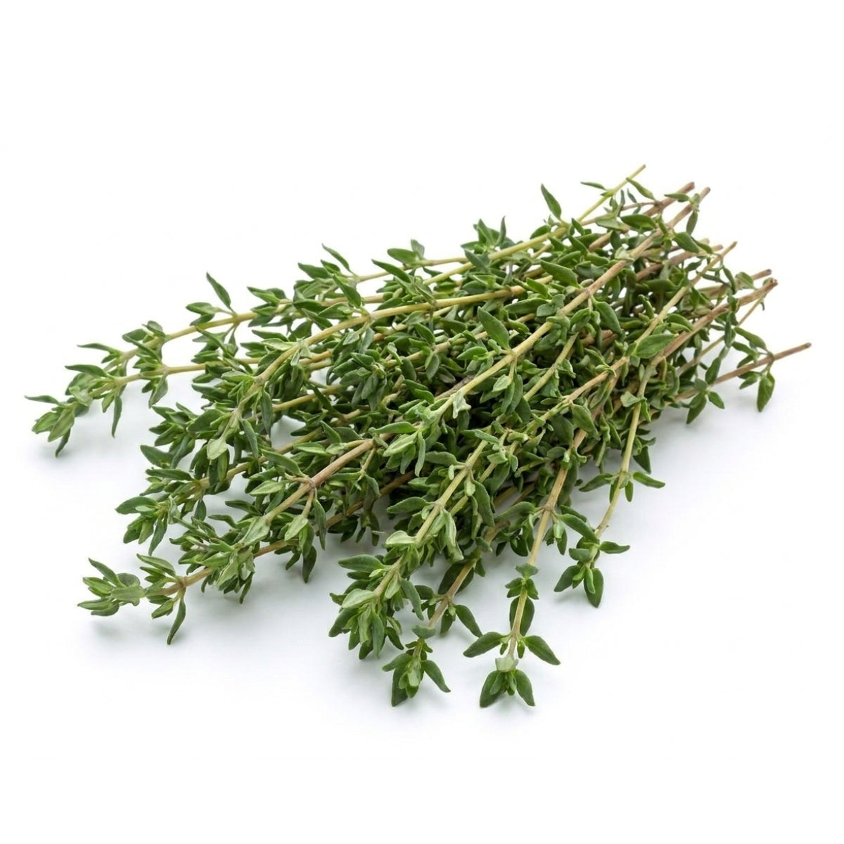 Thyme - image 1