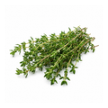 Thyme