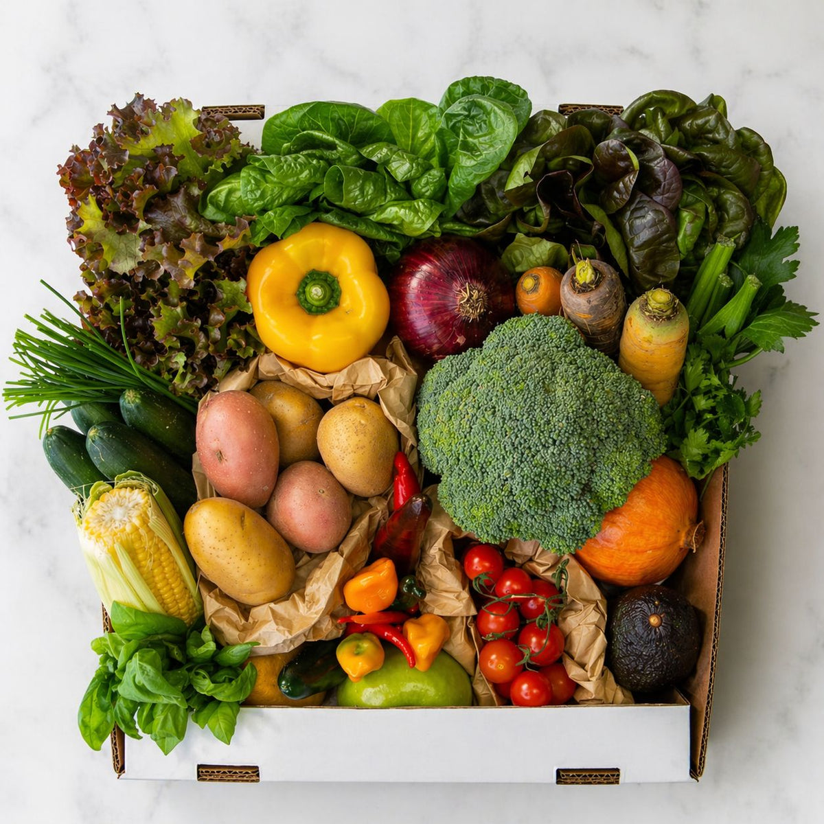 Bundle -The Balanced Box - image 1