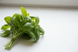 Basil Genovese Baby leaf