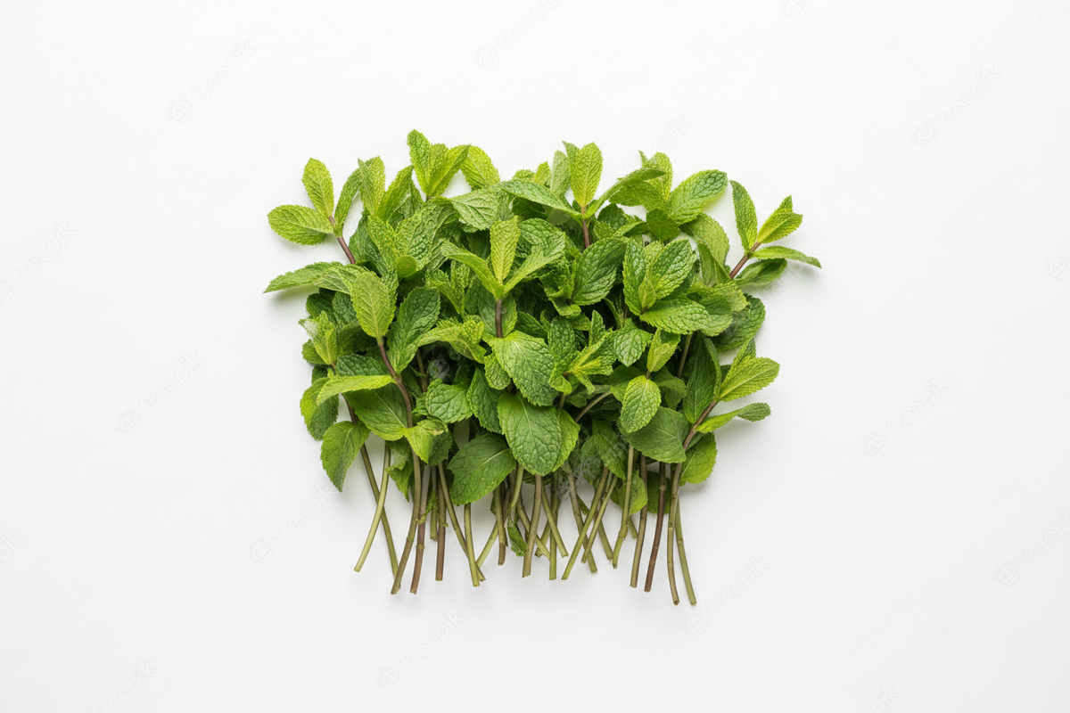 Mint - image 1