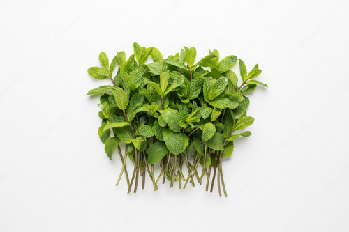 Mint