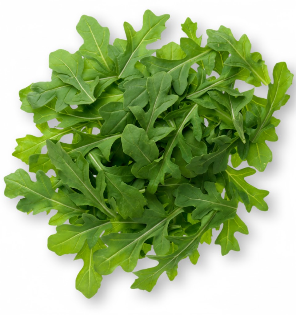 Arugula Baby leaf - image 1