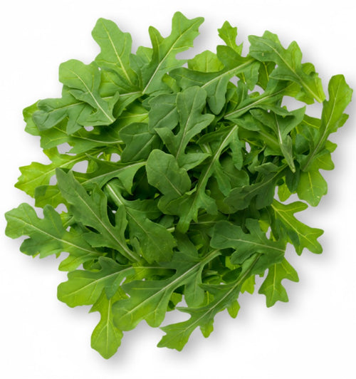 Arugula Baby leaf