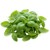 Basil Genovese Baby leaf