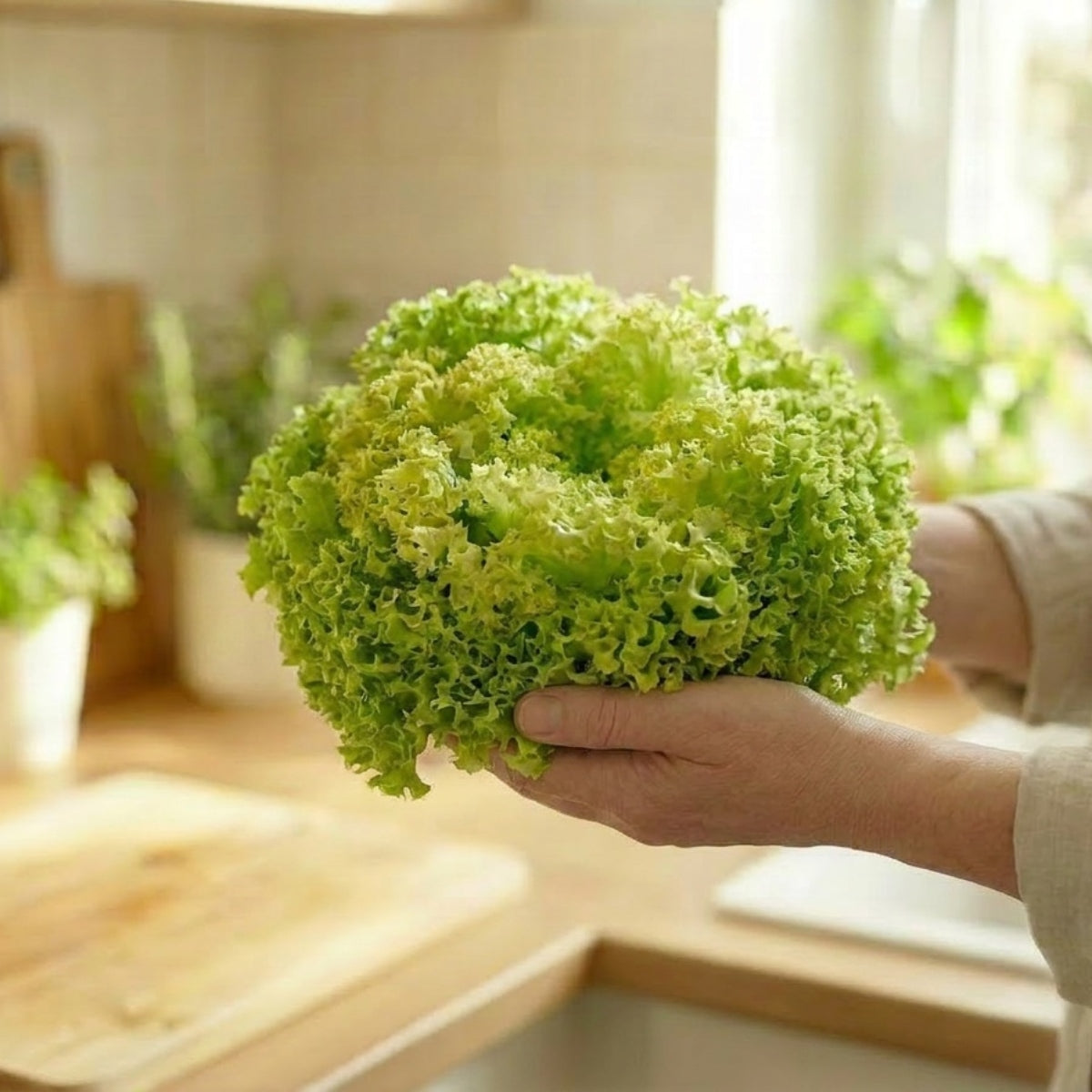 Batavia Green/Lollo Bionda - image 2