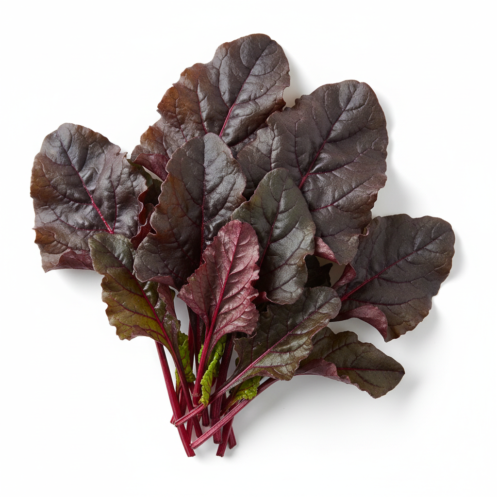Bulls Blood Beet - image 1