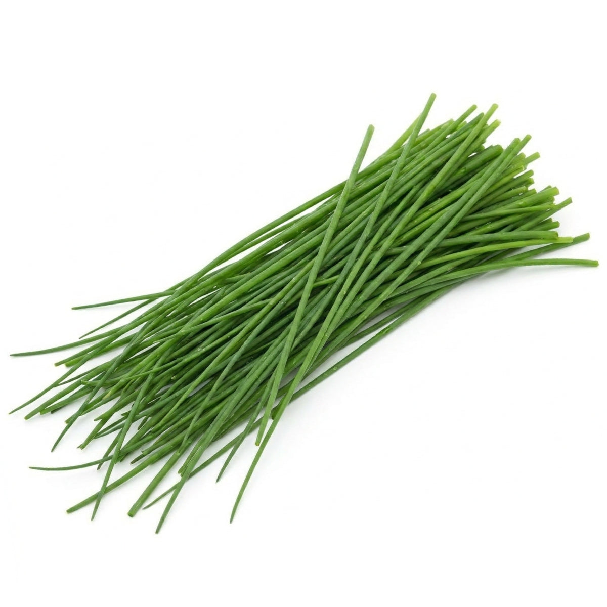 Chives - image 1