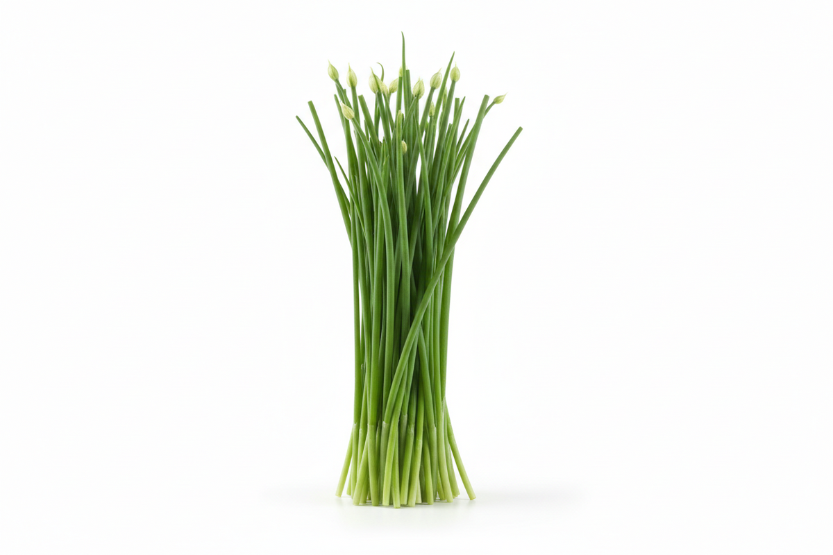 Chives - image 1