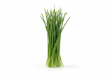 Chives