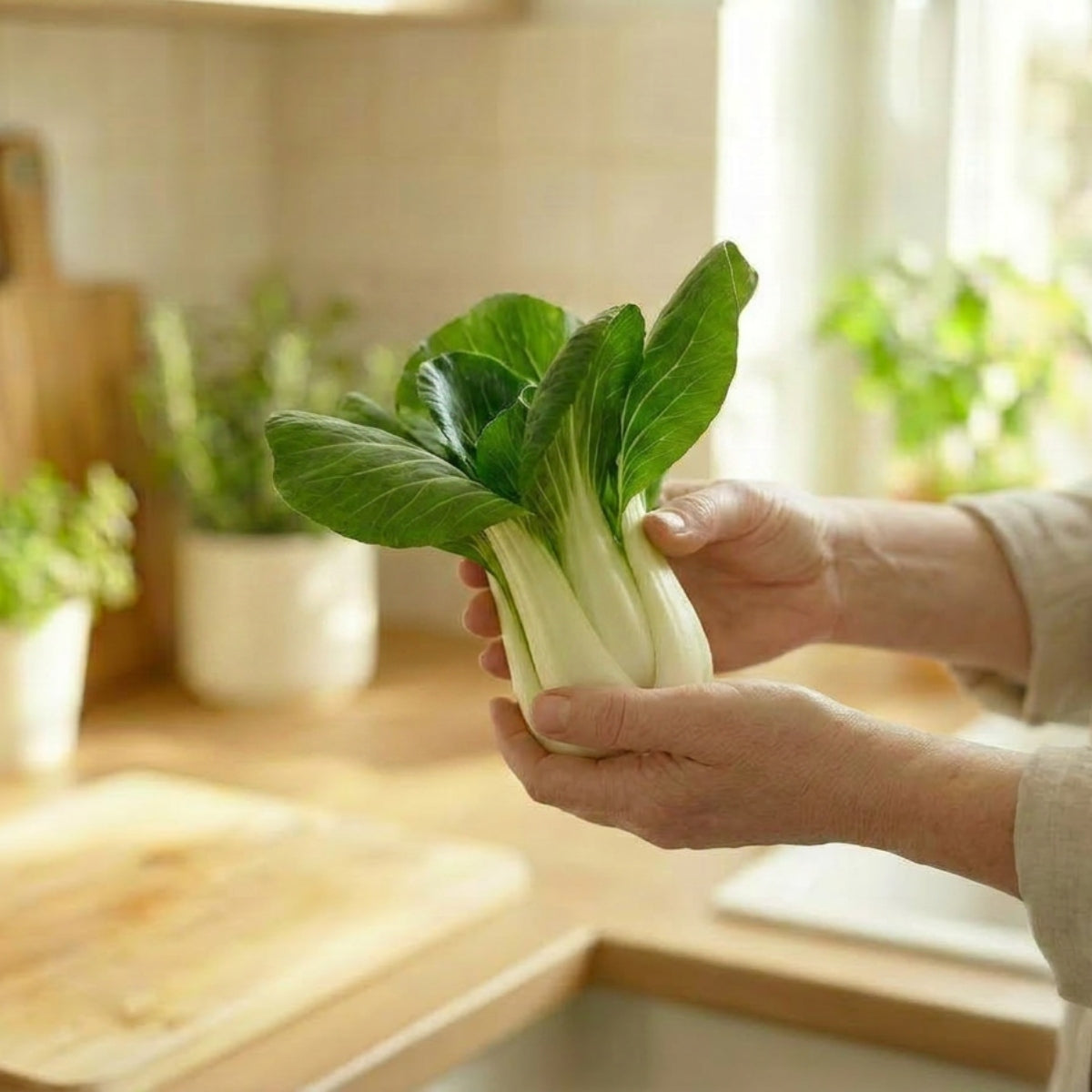 Pak Choy Lettuce - image 2