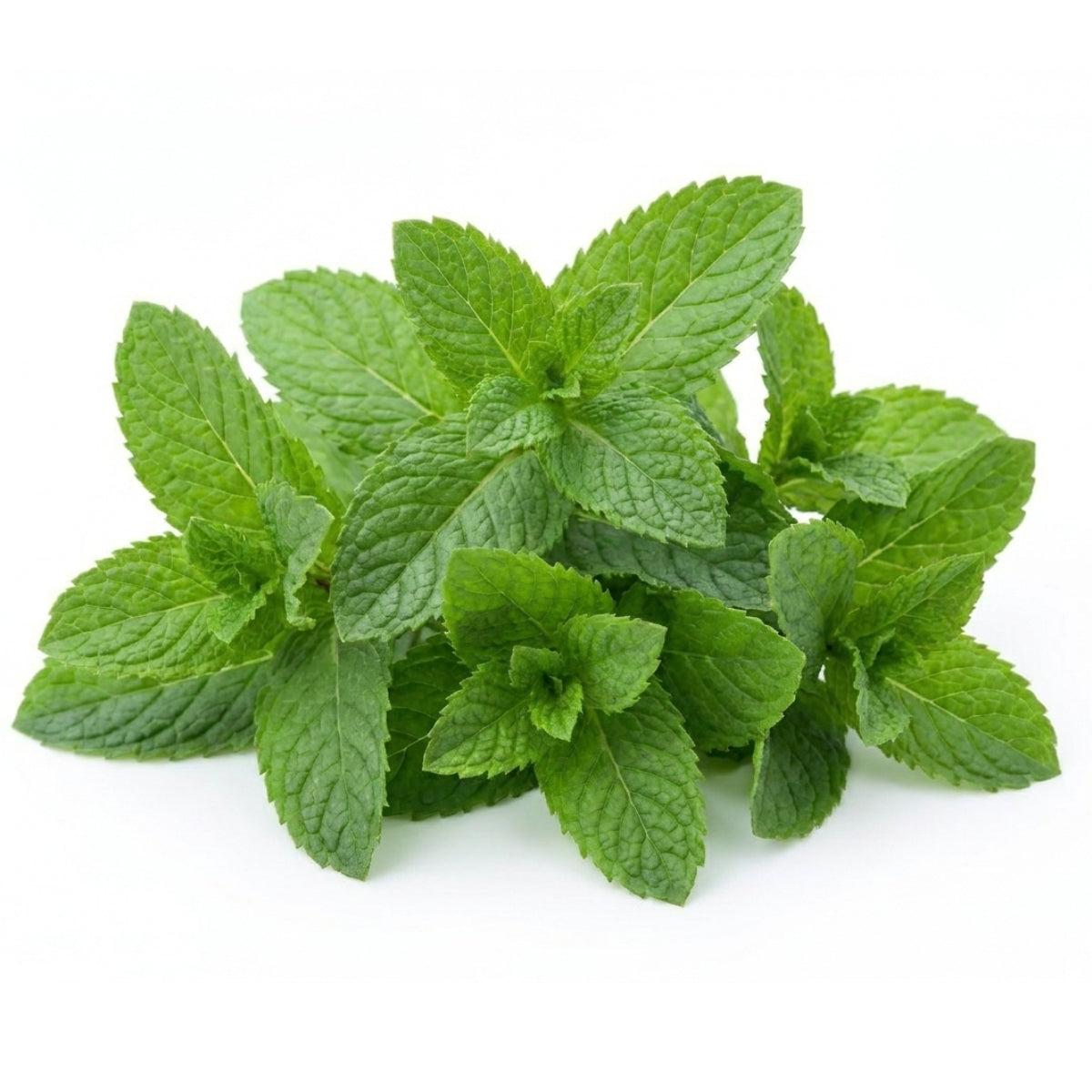 Mint - image 1