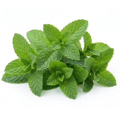 Mint