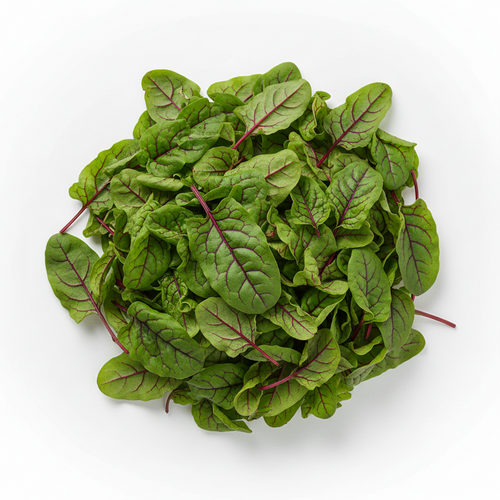 Red Veined Sorrel Baby leaf