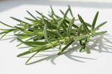 Rosemary