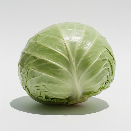Cabbage