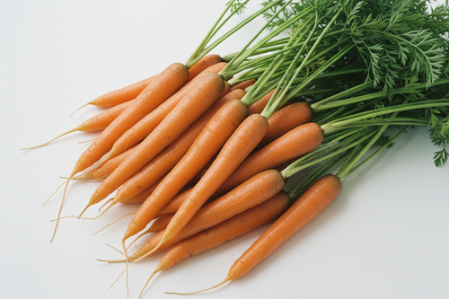 Carrot