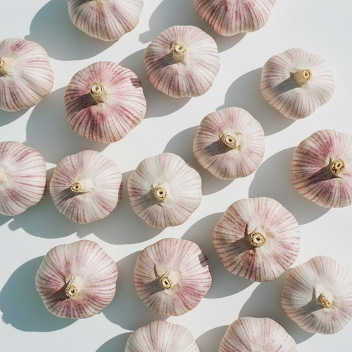 Garlic Uzbek